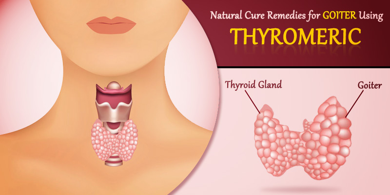 Natural Thyroid Cure Golden Milk Natural Thyroid Cure Golden Milk