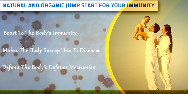 turmeric the organic immunity booster